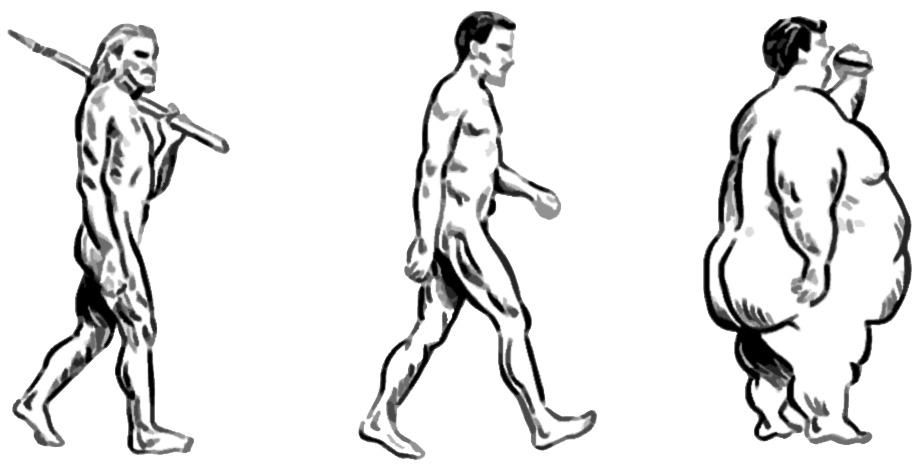 Our digestive system didn't evolve to work 24/7, which is what our present 'three square meals’ + snacks regime forces it to.